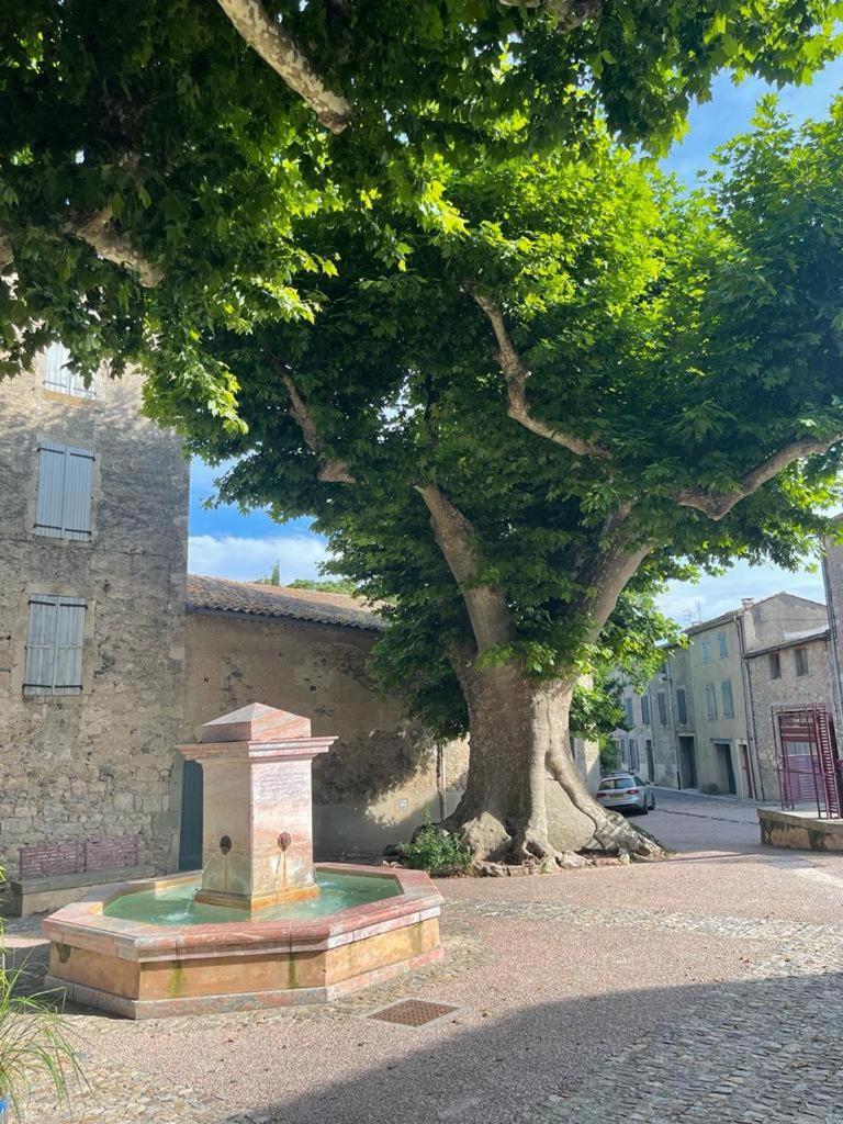 Au Perchoir Caunes-Minervois Exterior foto